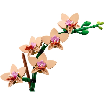 LEGO BOTANICALS 10343 Mała orchidea