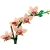 LEGO BOTANICALS 10343 Mała orchidea