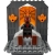 LEGO STAR WARS 75310 Starcie na Mandalore™